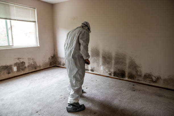 Best Emergency Mold Remediation in Fredonia, KS